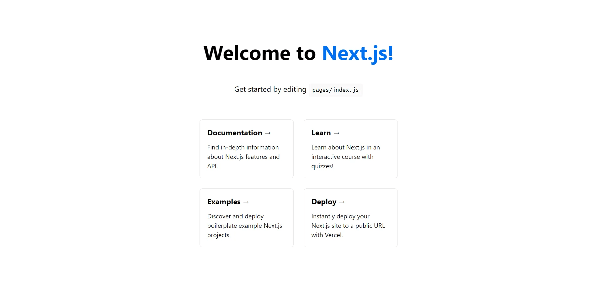 next-js-starter-page