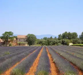 Pharmacie à vendre dans le département Drôme sur Ouipharma.fr