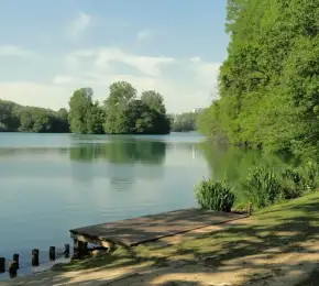 Pharmacie à vendre dans le département Rhône sur Ouipharma.fr
