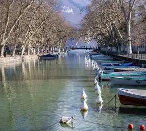 Pharmacie à vendre dans le département Haute-Savoie sur Ouipharma.fr