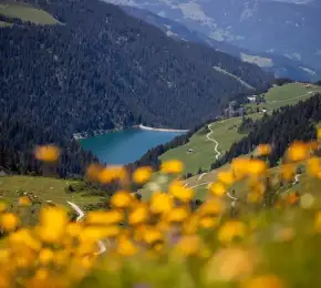 Pharmacie à vendre dans le département Savoie sur Ouipharma.fr