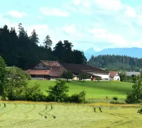Pharmacie à vendre dans le département Vienne sur Ouipharma.fr