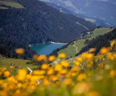 Image pharmacie dans le département Savoie sur Ouipharma.fr