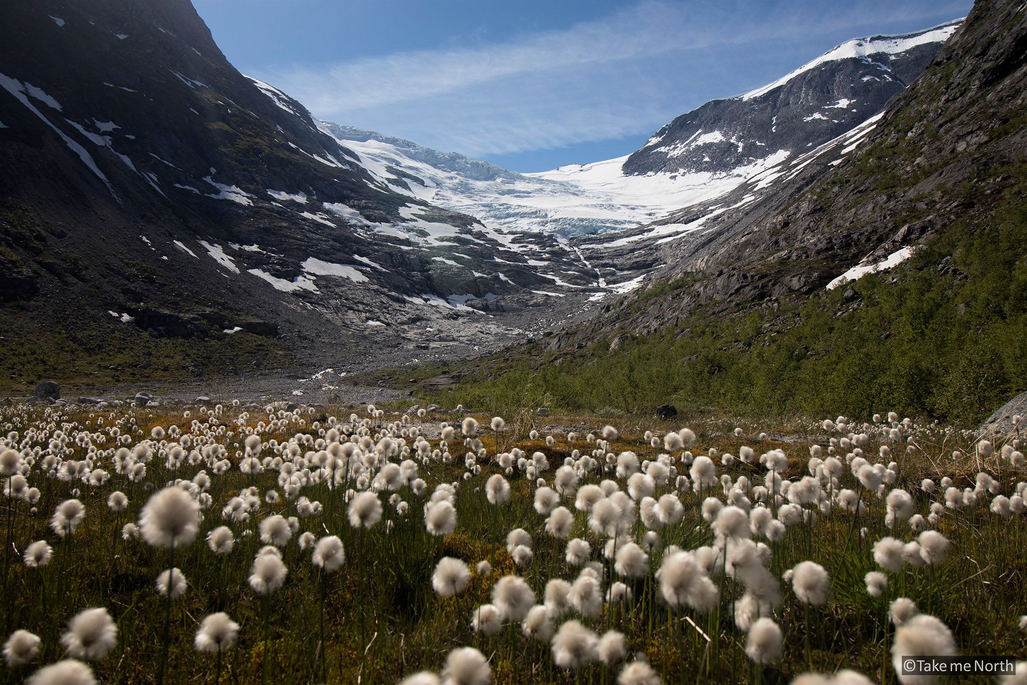 Bødalsbreen in june 2016