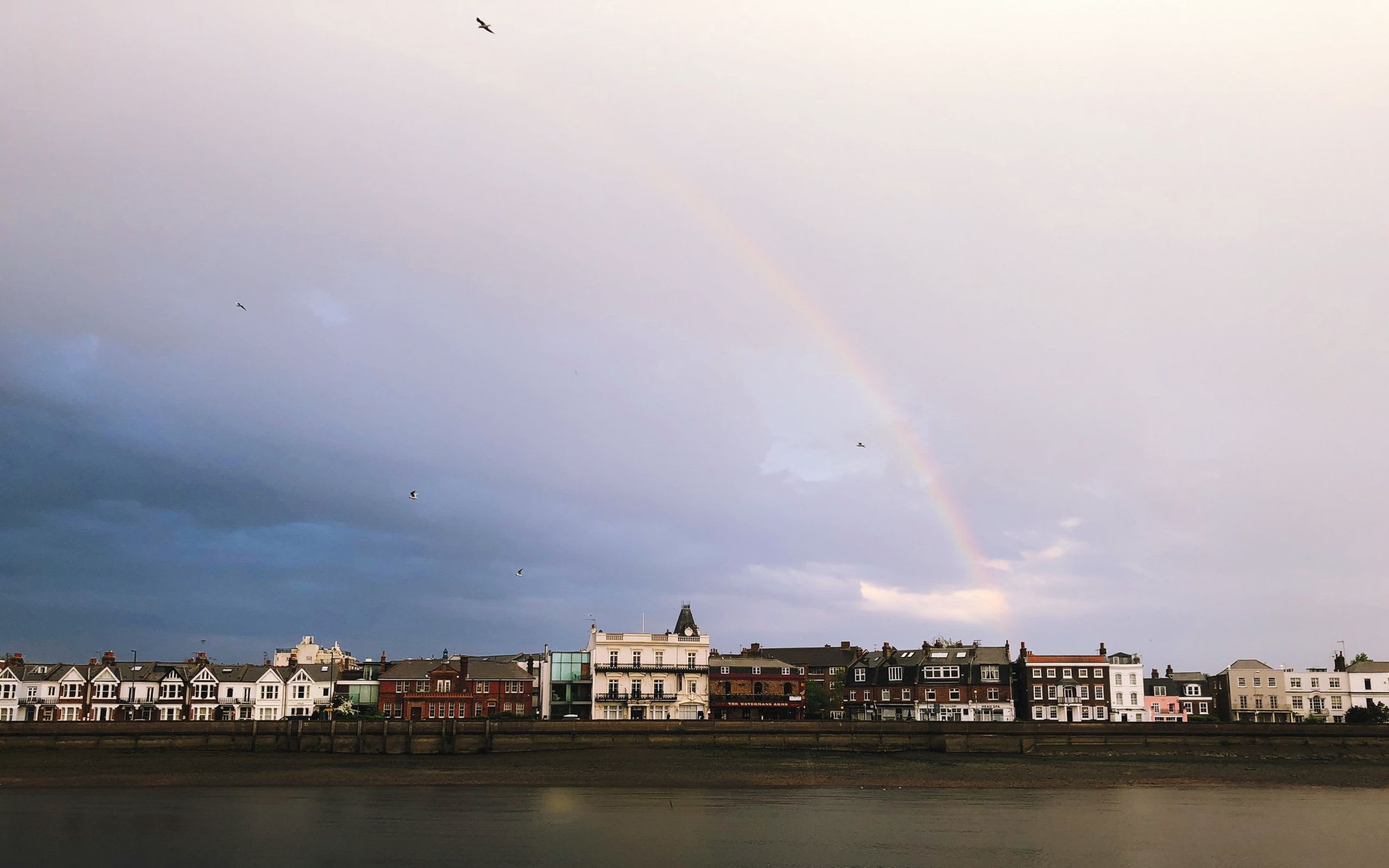 View of the River Thames at Barnes in London with a rainbow and birds in the sky after some rain