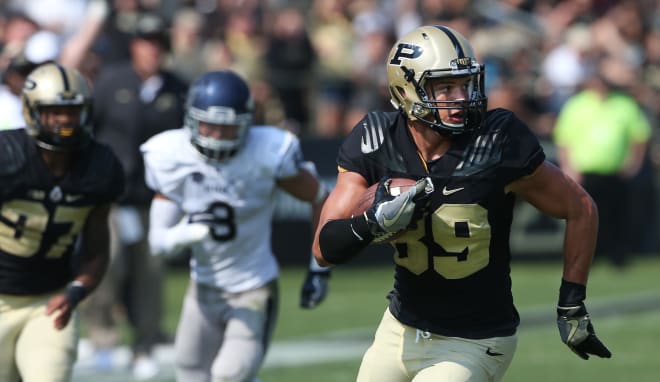 Brycen Hopkins, Purdue Boilermakers Football