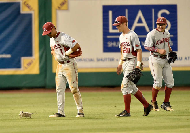 Opossum was loose on the field during the 7th inning