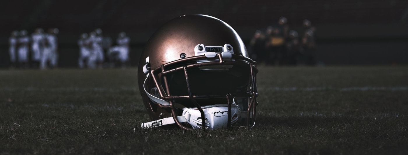 NFL Team by Team Guide: Minnesota Vikings