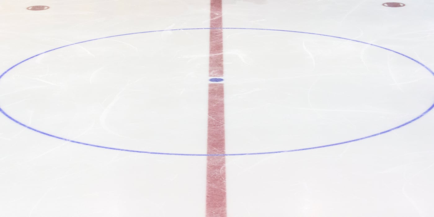 NHL Team Guide: Minnesota Wild