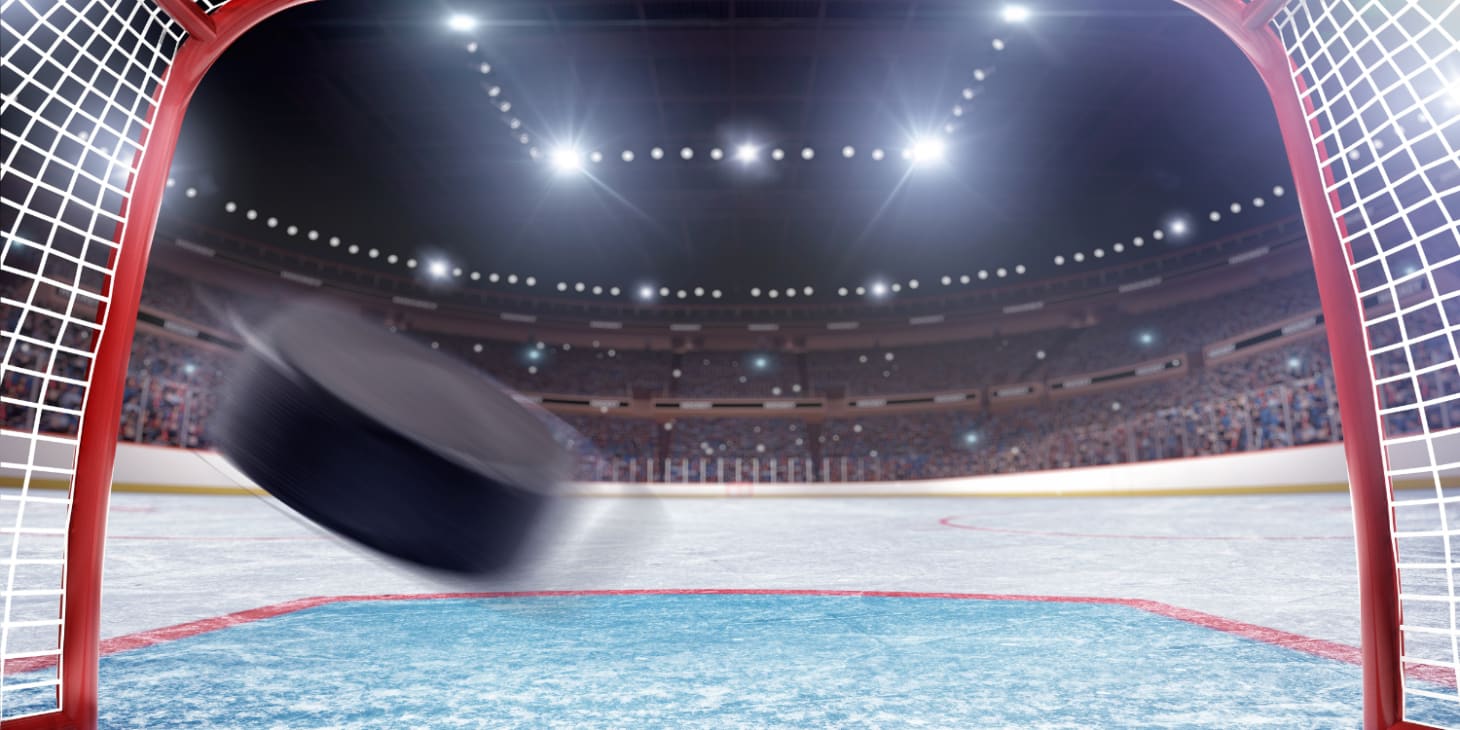 NHL Team Guide: Detroit Red Wings