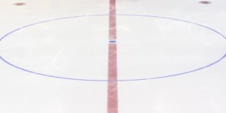 NHL Team Guide: Minnesota Wild