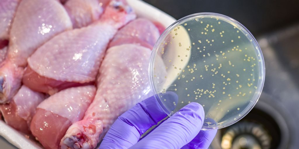 What You Need to Know About Salmonella Sharecare