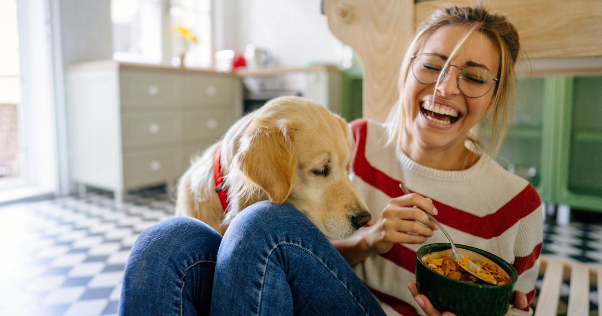 What To Eat If You Have Fibromyalgia Fibromyalgia Sharecare Homocyst(e)ine, diet, and cardiovascular diseases: what to eat if you have fibromyalgia