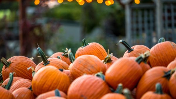 5 Fun Ways to Get Your Pumpkin Fix | diet-nutrition - Sharecare