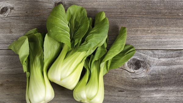 bok choy