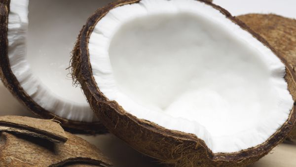 coconut