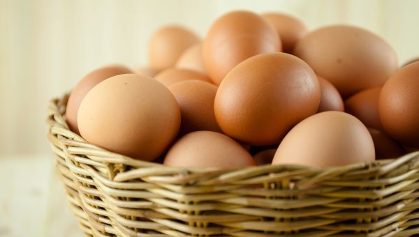 brown eggs