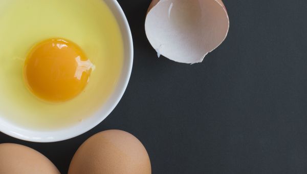 egg, eggs, yolk