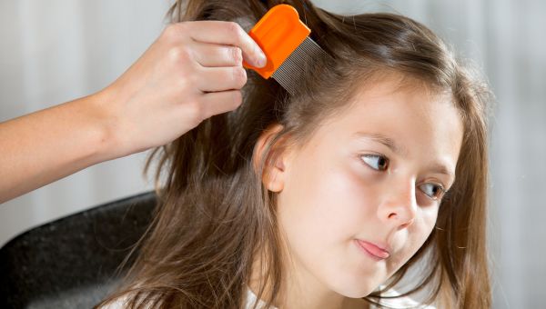 lice, lice treatment, child with lice, lice comb