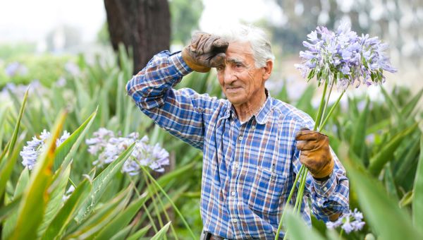 man, senior, gardening, yard work, lawn care