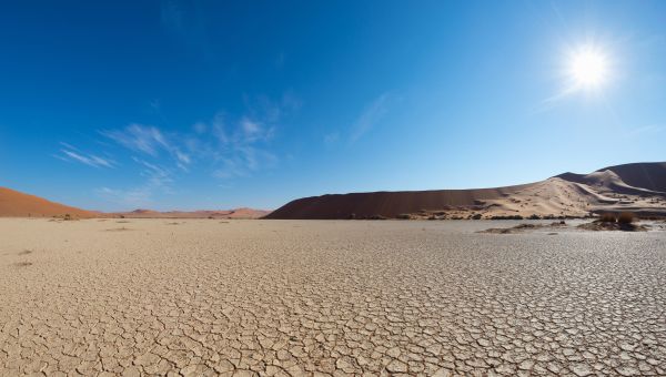 cracked desert landscape