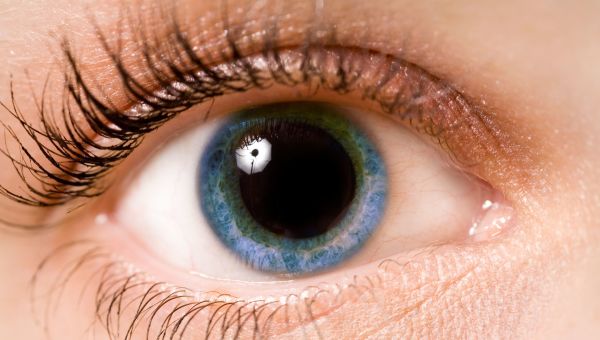 eye, eyelashes, close up on an eye