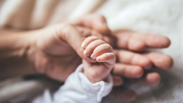 newborn holding hand, family hands