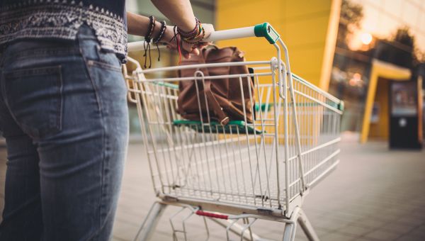 person pushing a shopping cart