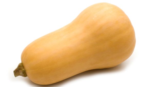 butternut squash