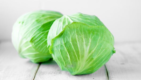 cabbage