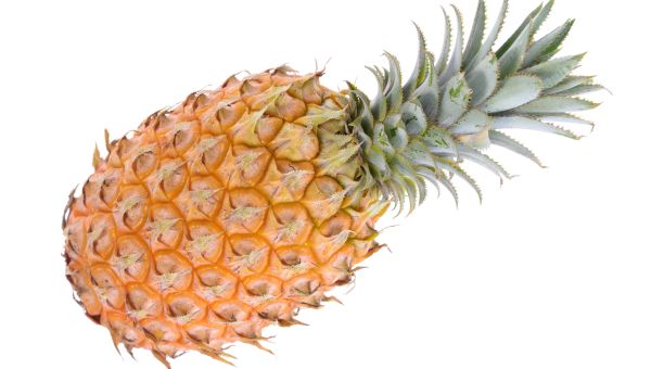 pineapple