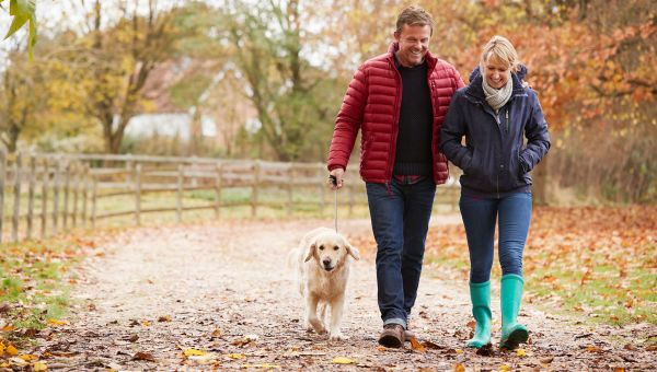 couple walking dog