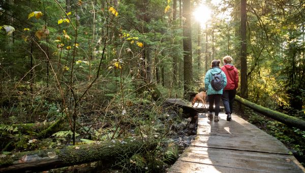 couple hiking with dog