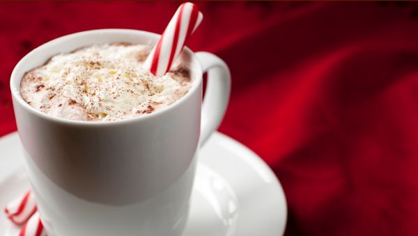 a cup of cocoa with peppermint