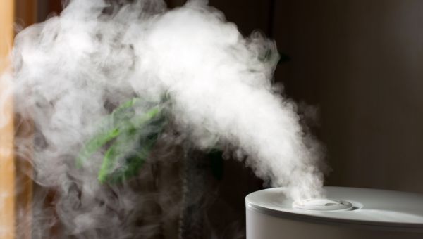 Steam billowing out of a humidifier.