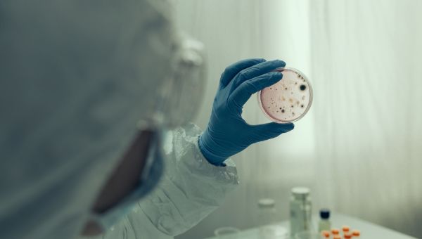 a scientist in a biomedical hazard gown studies a cell culture of a contagious disease