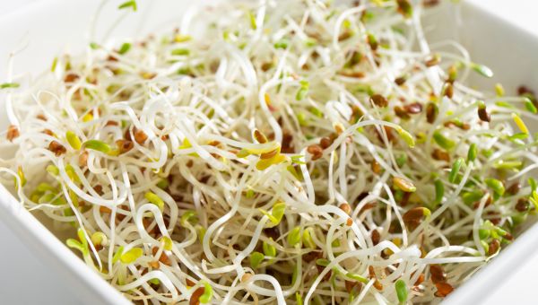 bean sprouts