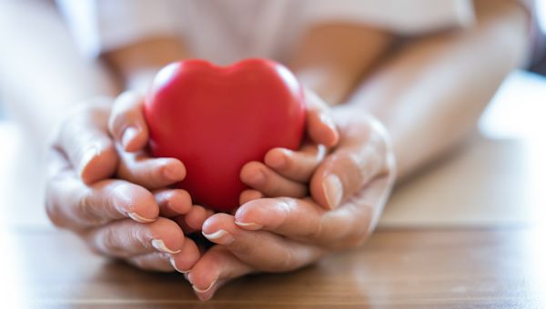adult and child holding heart in hands
