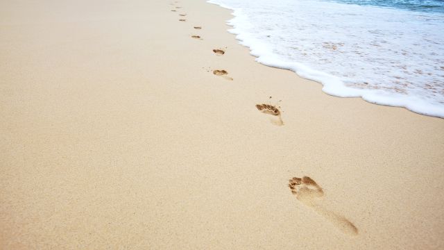 Footprints in the sand, beach