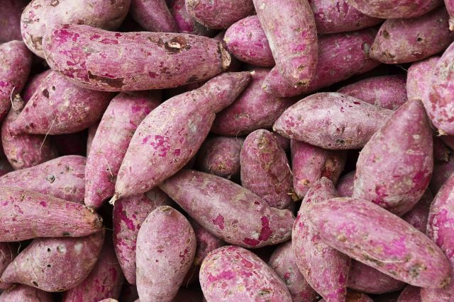 Purple Sweet Potato Good For Diabetes