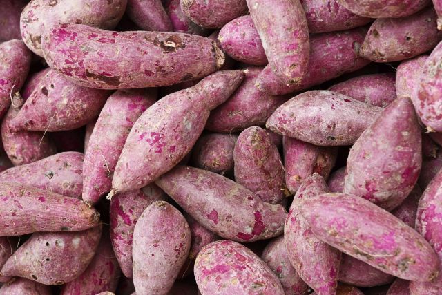 A purple sweet potato offers benefits that include better glucose control for type 2 diabetes, antioxidants and more.