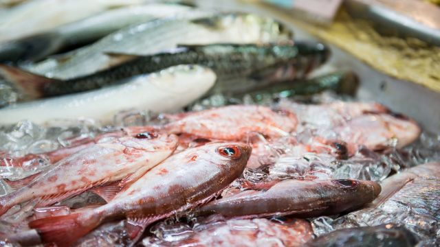 fresh market fish on sale
