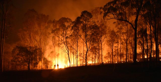 Picture of trees and wildfire with two people