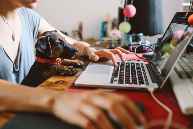 CU of working at home on computer