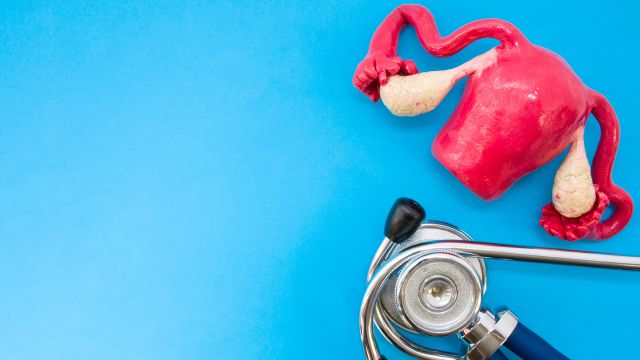 A stethoscope and a model of a uterus and fallopian tubes 