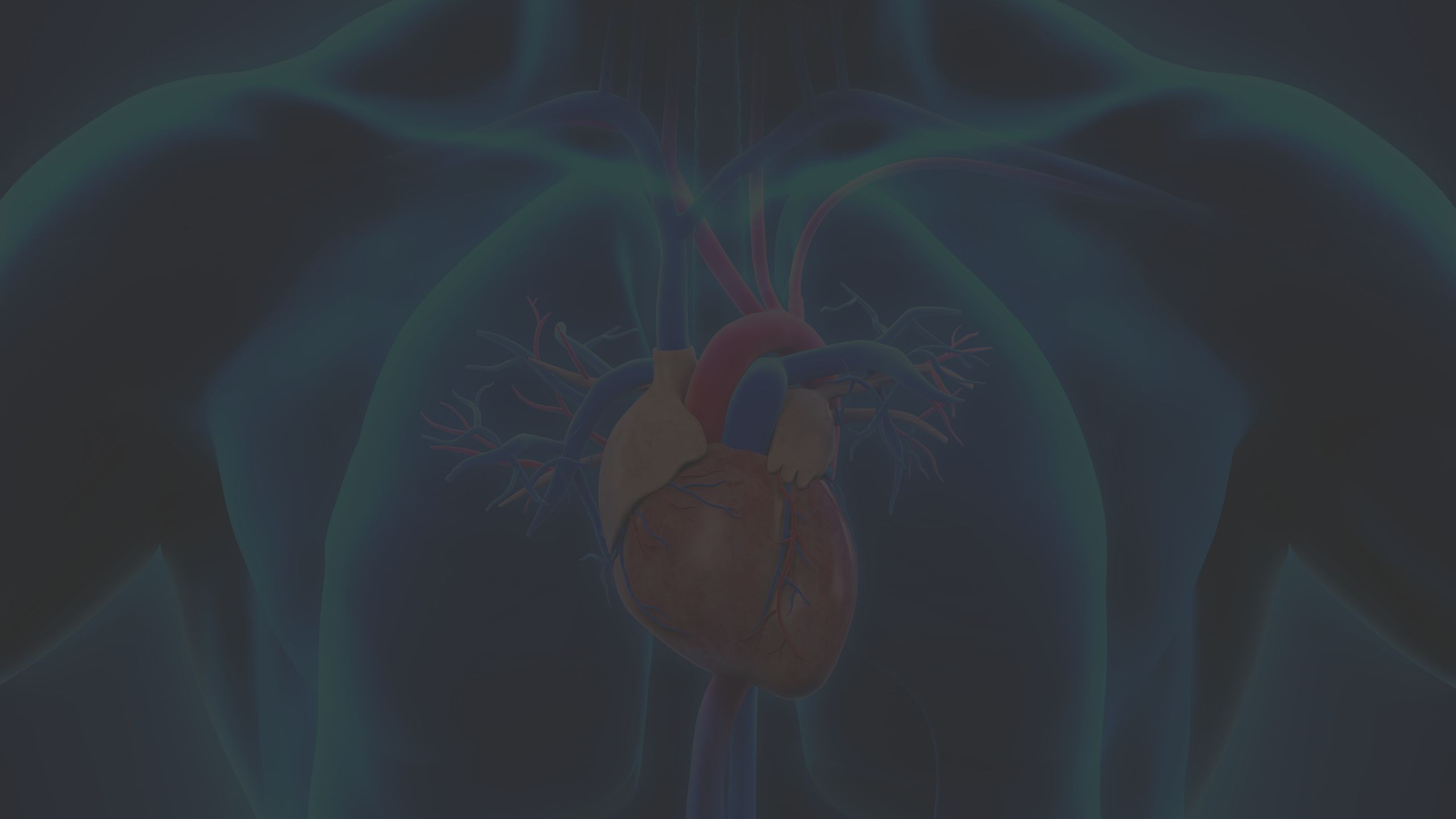 heart, scan, body, chest
