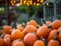 5 Fun Ways to Get Your Pumpkin Fix