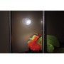 The BB Cob Directional Light