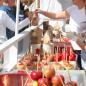 Bedford's Fall Foliage Festival