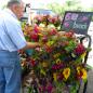 Somerset County Farmers Market